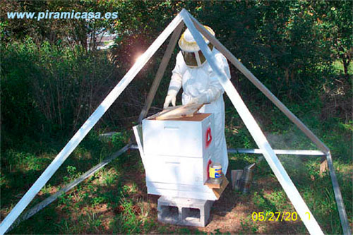 Apiterapia con pirámides