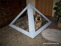 Pirámide con perro