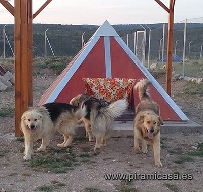 Piramascota exterior para perros de dos metros y medio