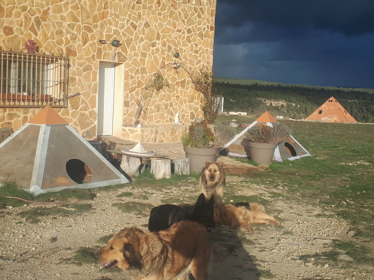 Piramascota exterior para perros de dos metros y medio