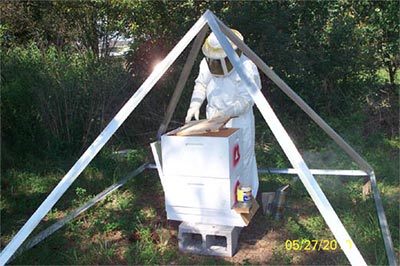 Pirámide exterior con colmena y apicultor en su interior